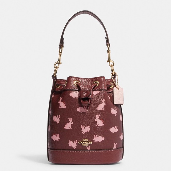 Coach | Bags | Coach Lunar New Year Mini Dempsey Bucket Bag With Rabbit ...